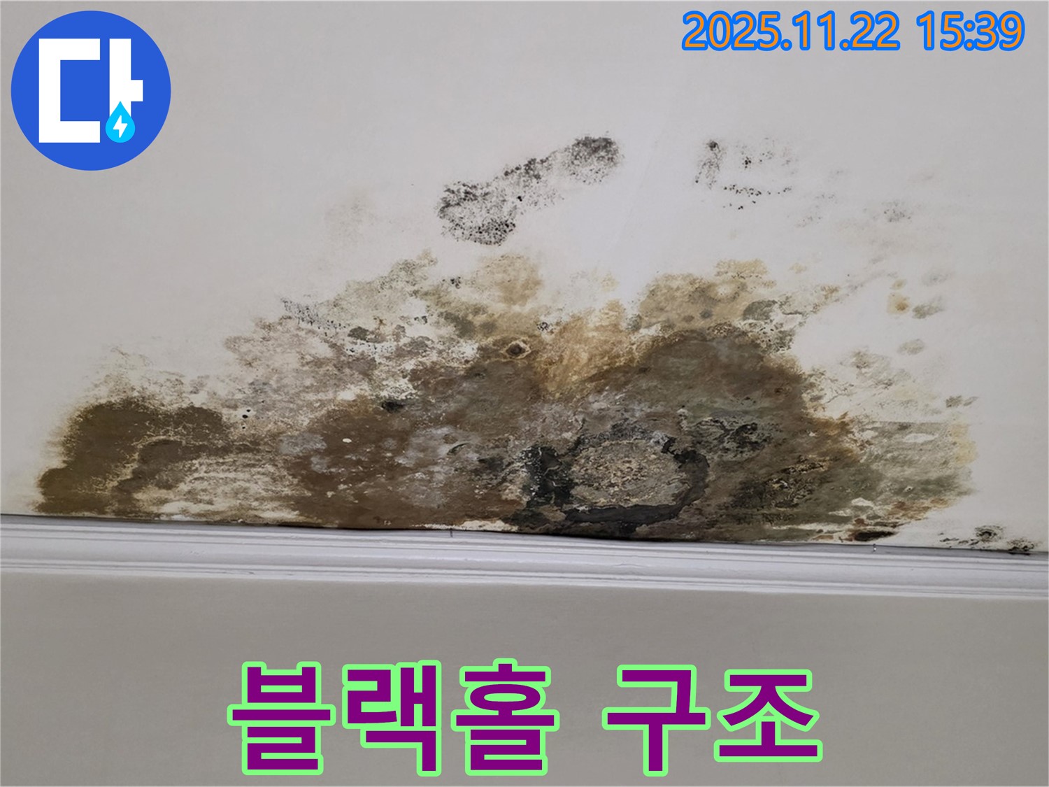 마포구 용강동 아파트 누수 - 곰팡이 블랙홀, 쾌적한 공간 구조대 출동!
