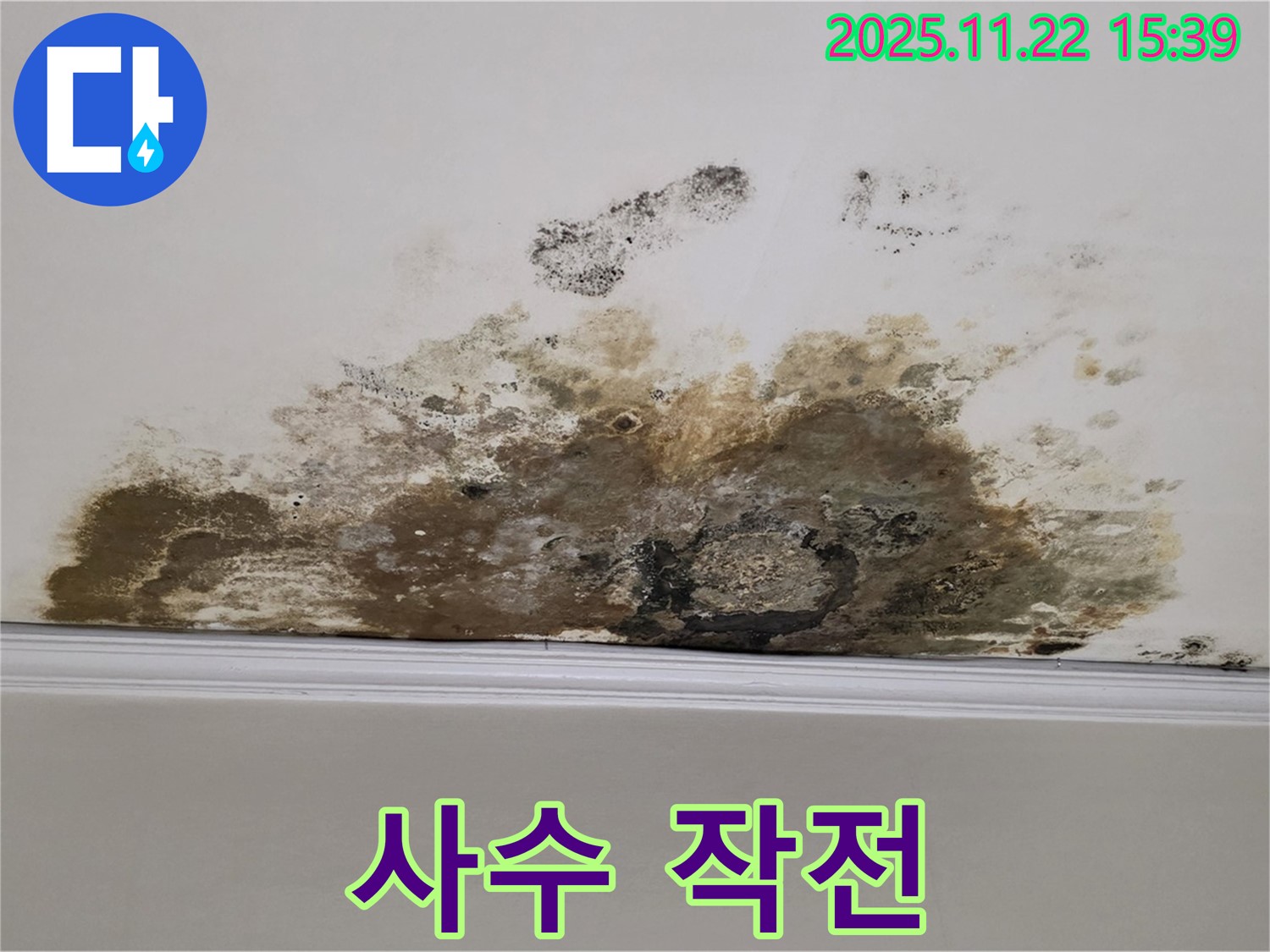 마포구 용강동 아파트 누수 - 곰팡이 습격 비상, 쾌적한 우리 집 사수 작전!