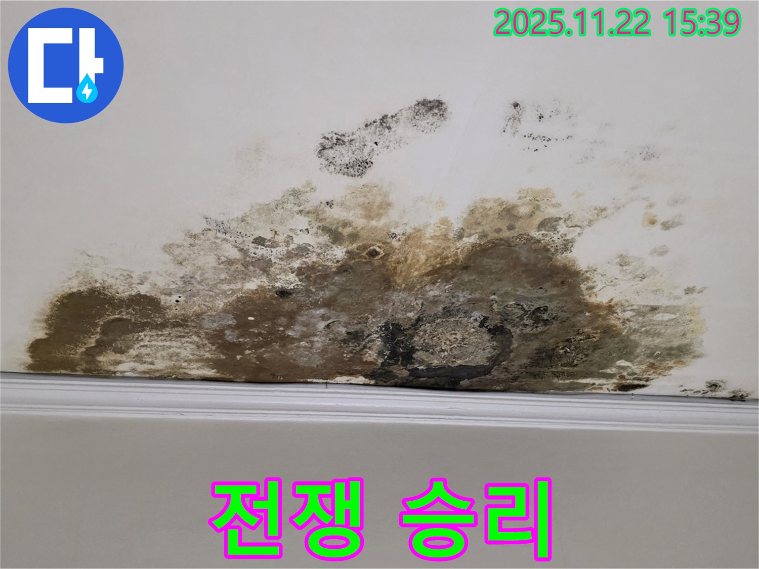 마포구 용강동 아파트 누수 - 곰팡이와의 전쟁 승리, 깨끗한 보금자리에서 힐링 시작!
