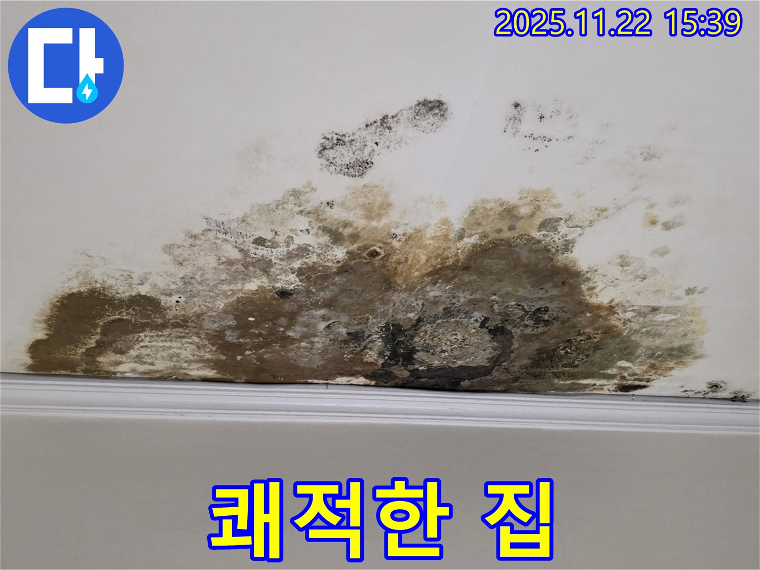 마포구 용강동 아파트 누수 - 천장 곰팡이 완벽 제거, 쾌적하고 건강한 집으로 변신
