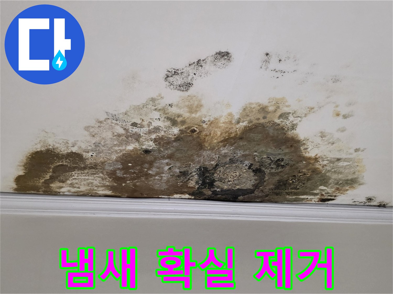 마포구 용강동 현대홈타운 아파트 - 곰팡이 천장 - 곰팡이 냄새, 확실하게 잡아드립니다