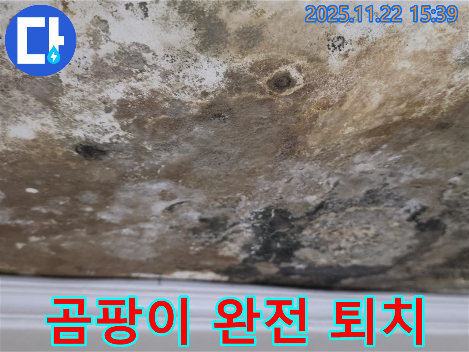 마포구 현대홈타운 - 곰팡이 완전 퇴치, 뽀송한 천장으로 힐링!