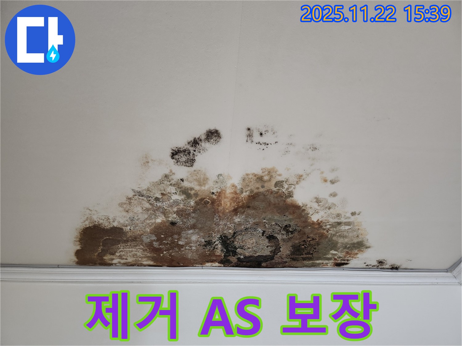 새창로 현대홈타운 아파트 - 곰팡이 천장, 곰팡이 제거, 완벽한 시공 후 A/S 보장
