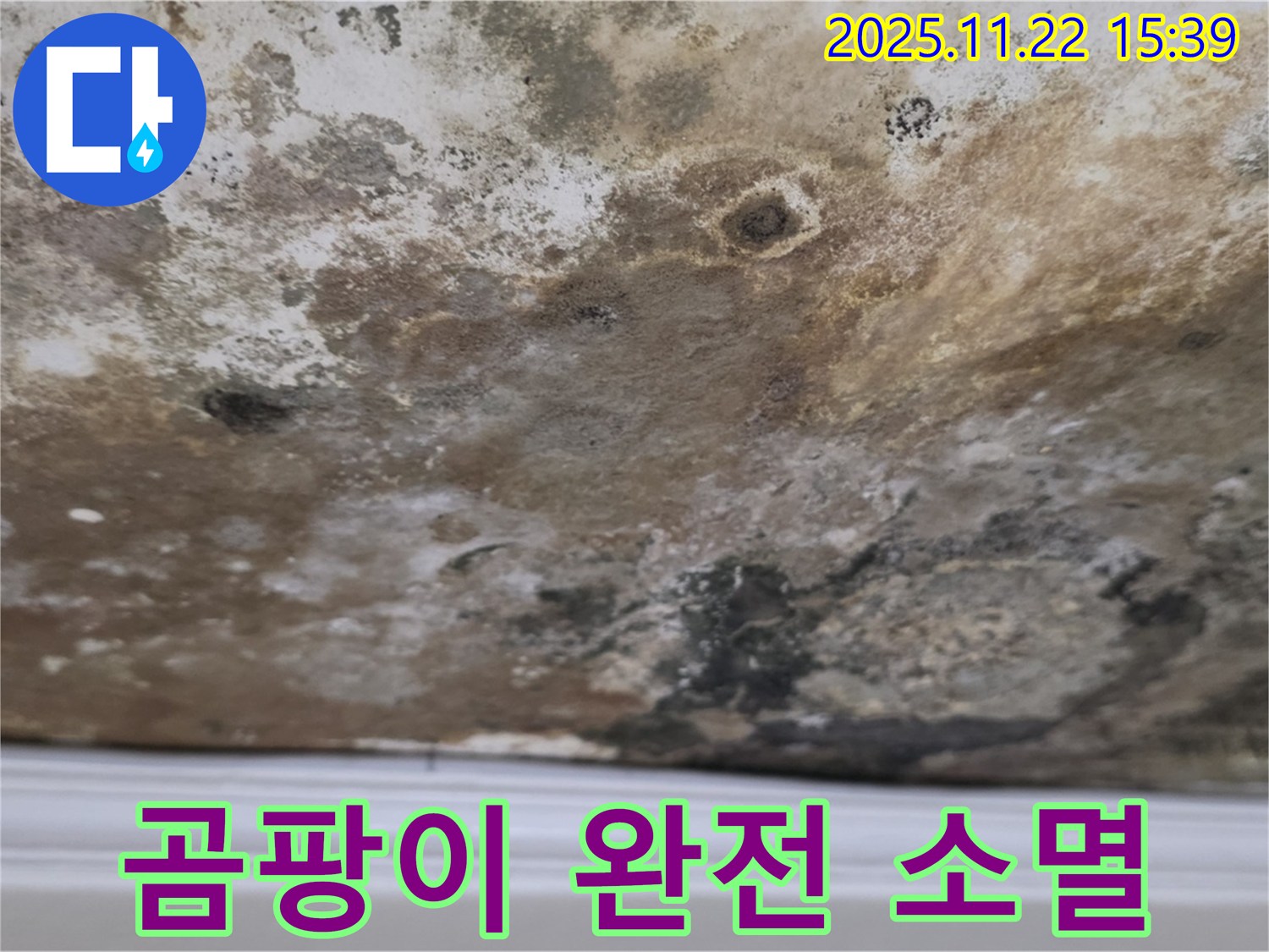 새창로8길 누수 - 곰팡이 완전 소멸, 깨끗한 천장 만들기 프로젝트!
