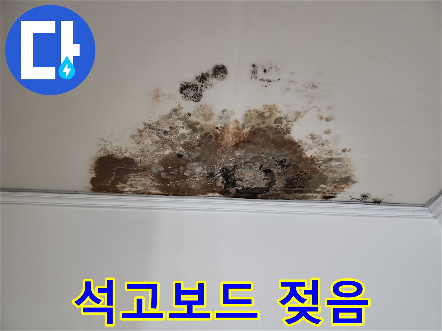 용강동 누수 - 곰팡이로 젖은 석고보드