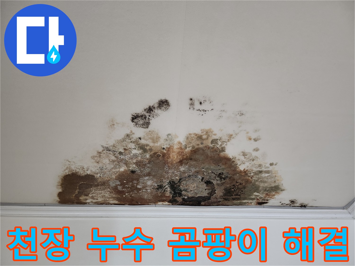용강동 누수탐지 전문 - 곰팡이 핀 천장 완벽 해결