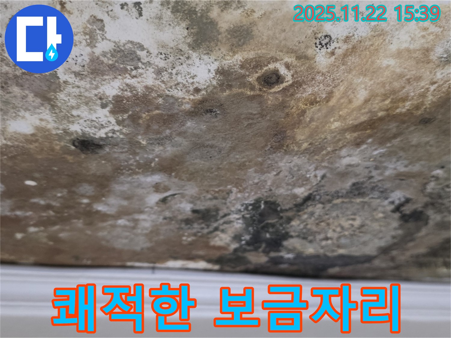 용강동 아파트 - 곰팡이 싹쓸이, 쾌적한 보금자리 완성