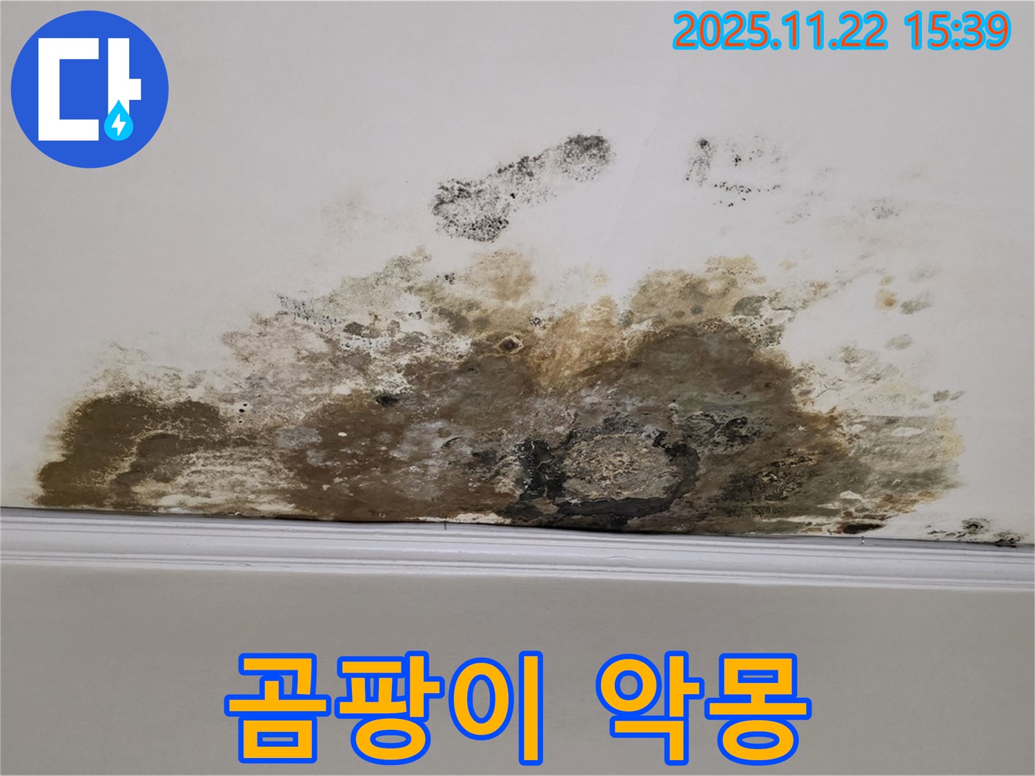 용강동 아파트 누수 - 곰팡이 악몽 끝, 누수 해결로 쾌적한 보금자리로 되돌아오세요