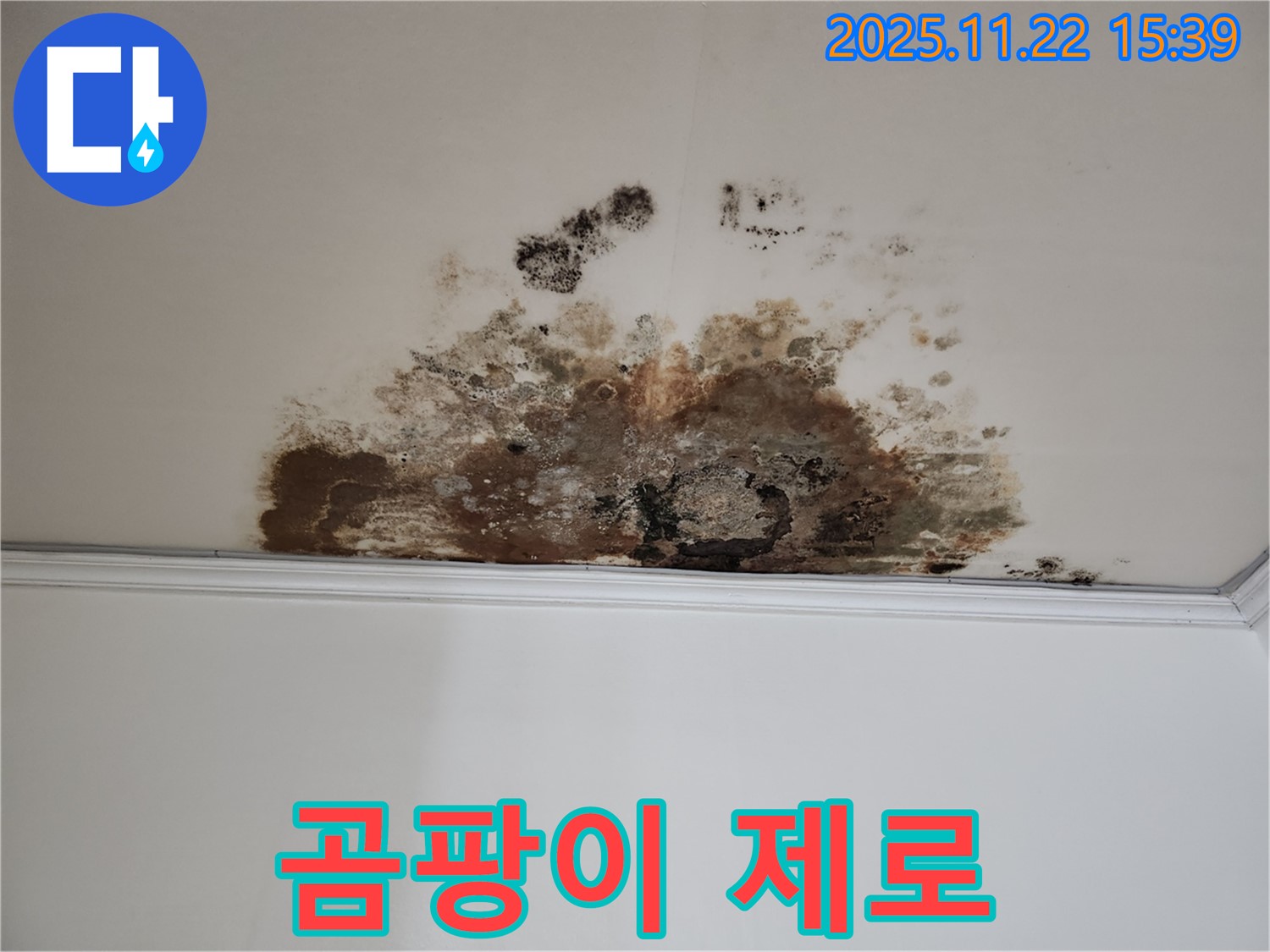용강동 아파트 누수 - 곰팡이 제로, 쾌적한 보금자리