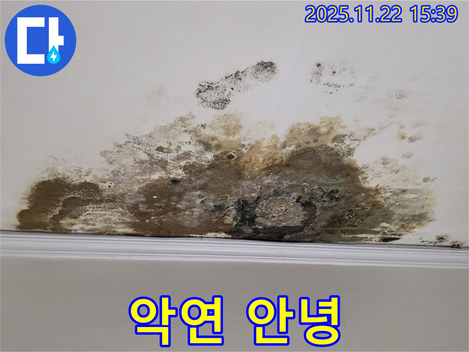 용강동 아파트 누수 - 곰팡이와의 질긴 악연 이제 안녕! 쾌적한 공간에서 행복 충전 완료