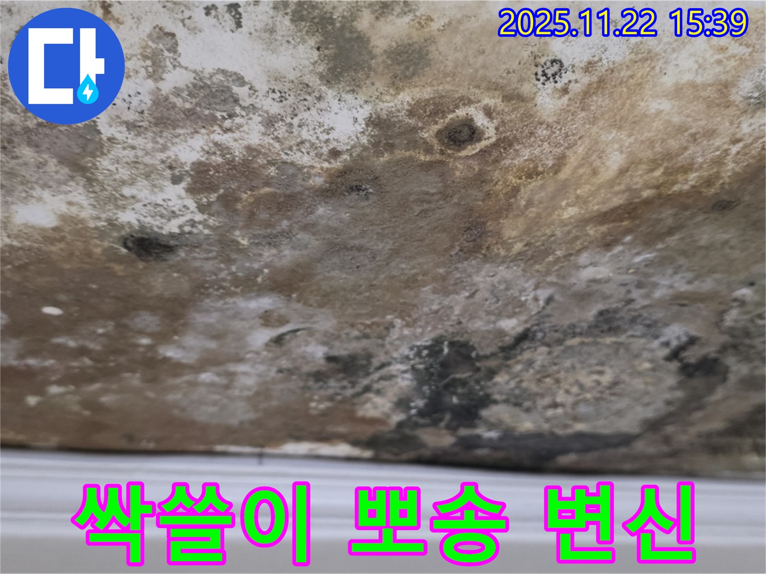 용강동 현대홈타운 - 곰팡이 싹쓸이, 뽀송뽀송한 공간으로 완벽 변신!