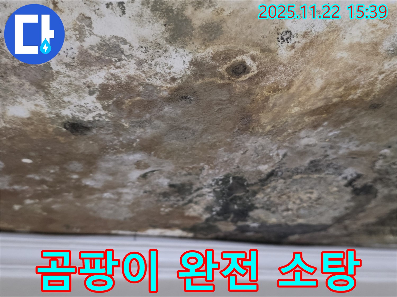 용강동 현대홈타운 - 곰팡이 완전 소탕, 뽀송한 천장으로 체인지!