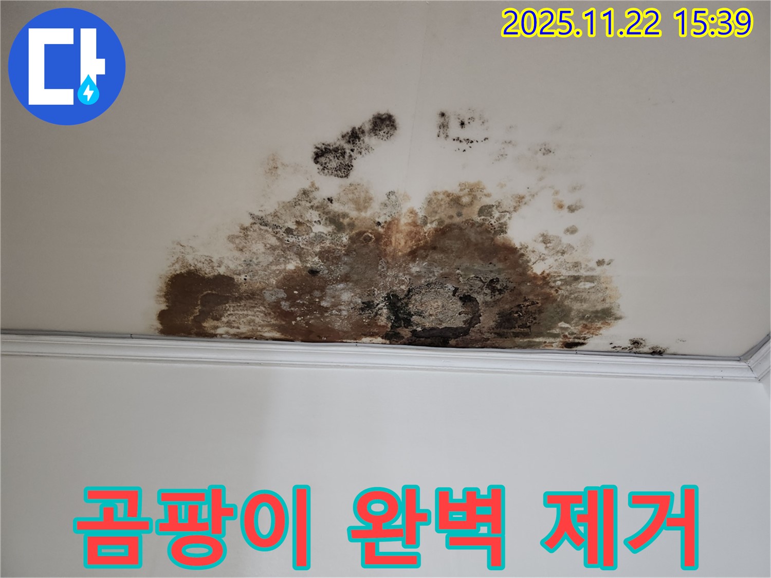 용강동 현대홈타운 새창로8길 누수 - 곰팡이 완벽 제거, 고객 만족
