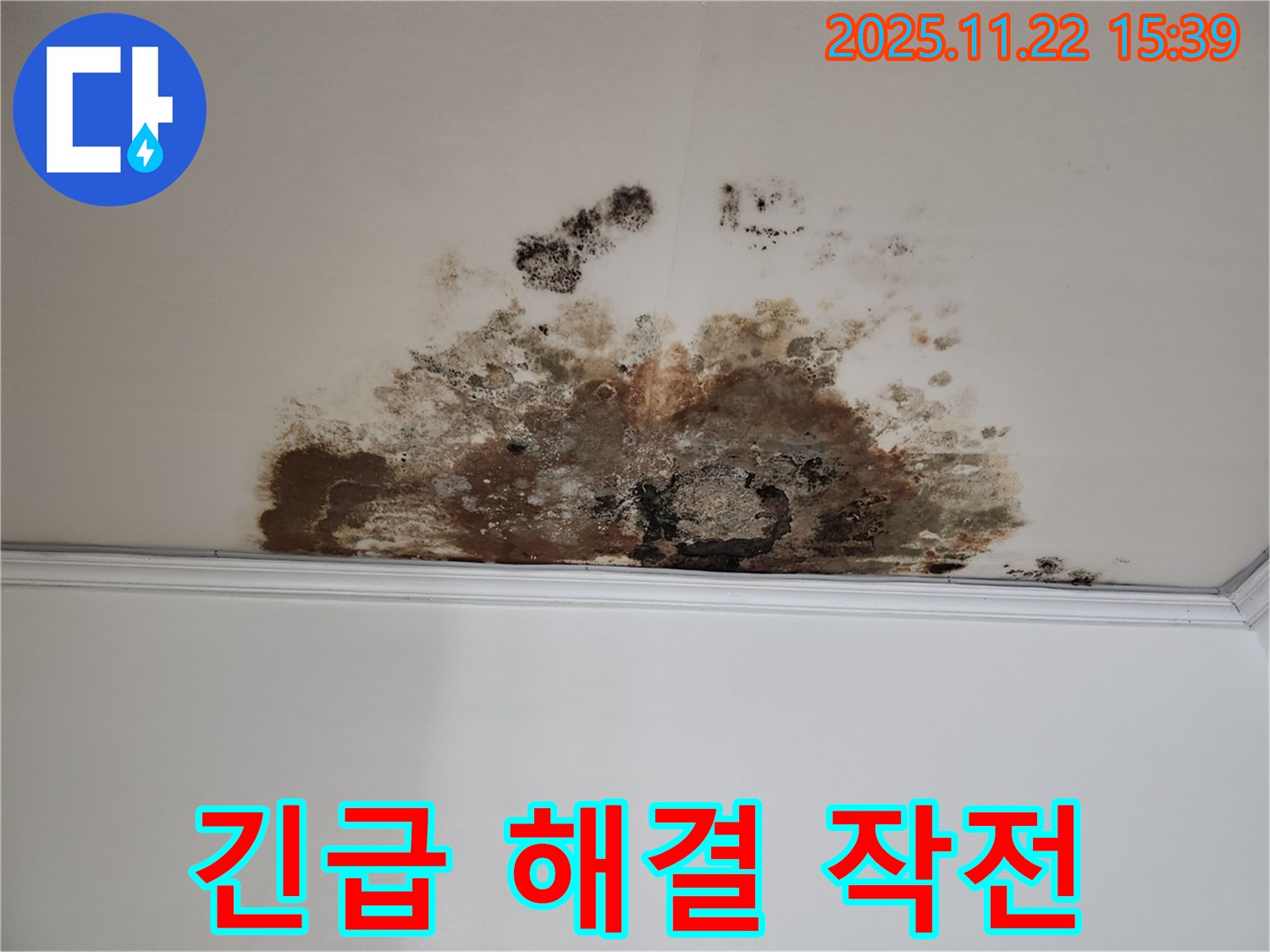 용강동 현대홈타운 새창로8길 천장 - 곰팡이 비상사태, 누수 긴급 해결