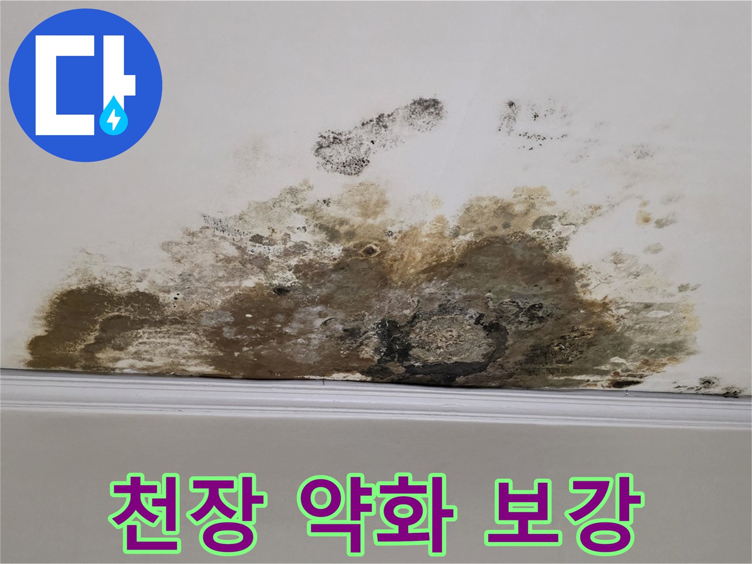 용강동 현대홈타운 아파트 누수 - 곰팡이로 인한 천장 약화 - 안전을 위한 긴급 보강