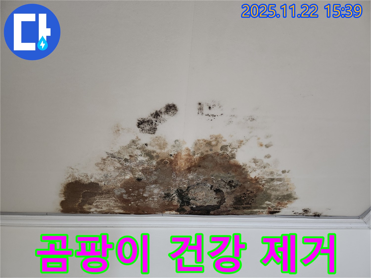 용강동 현대홈타운 아파트 - 천장 곰팡이가 건강을 위협 - 완벽 제거 시공