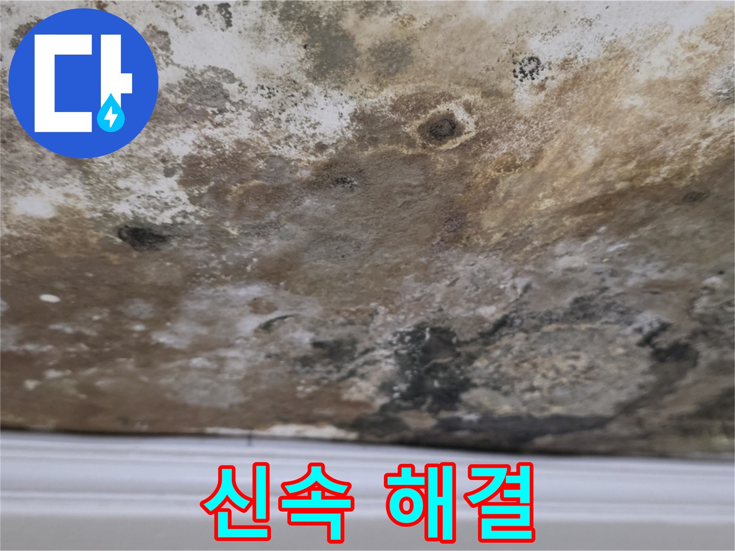 현대홈타운 곰팡이 천장 - 신속한 해결이 중요합니다!