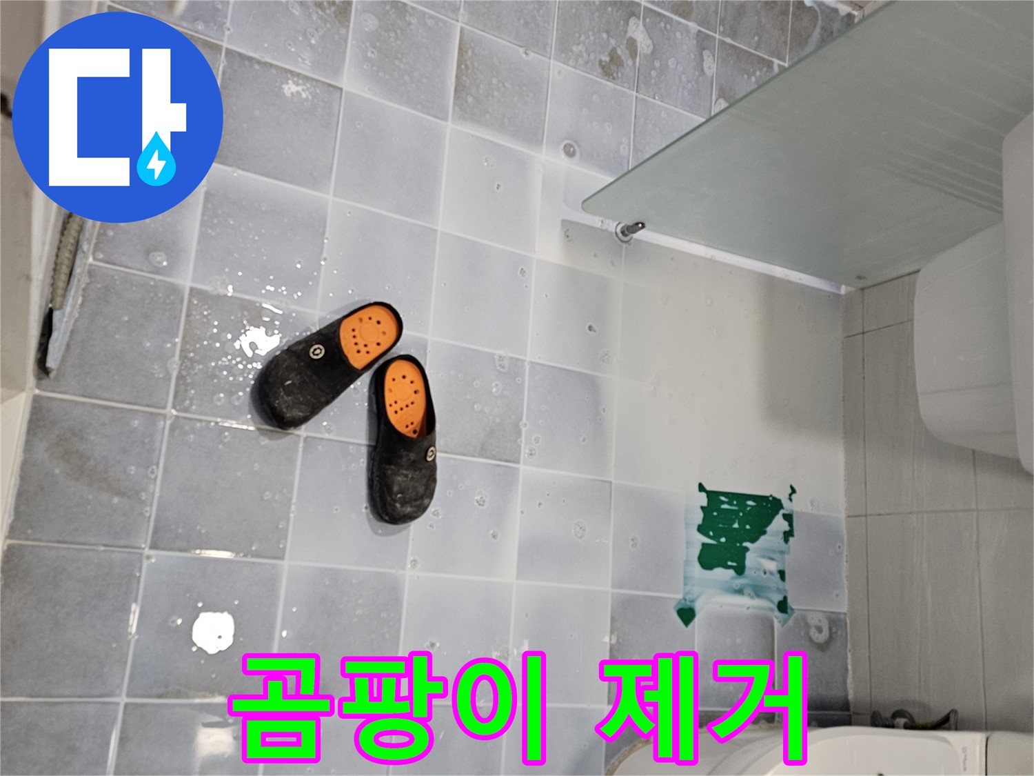 도화동 현대1차 아파트 누수 - 화장실 타일 사이 곰팡이, 깨끗하게 싹 제거해 드립니다!