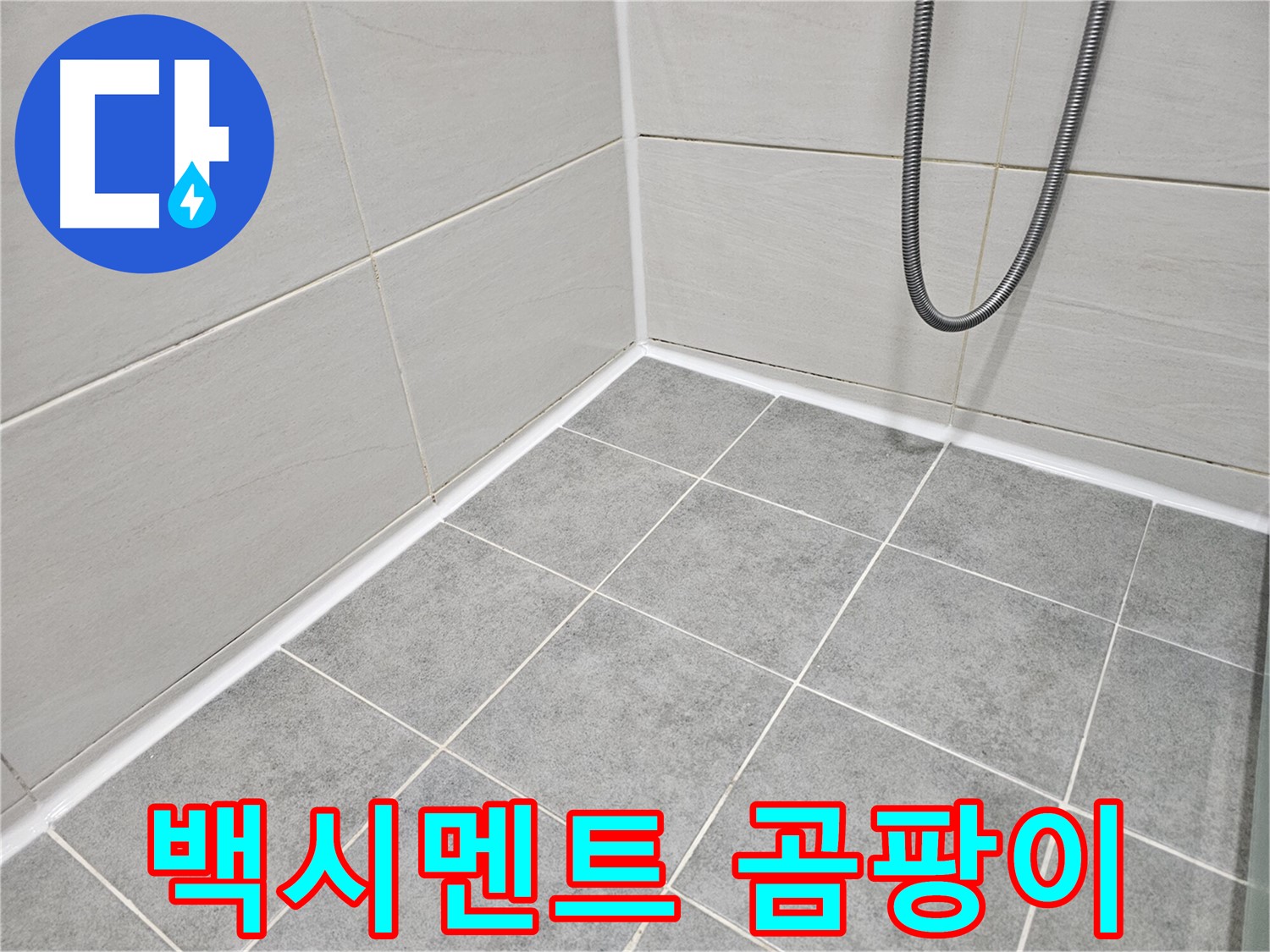 마포구 도화동 현대아파트 욕실 - 타일 틈새 백시멘트 곰팡이 제거 작업을 진행하고 있습니다.