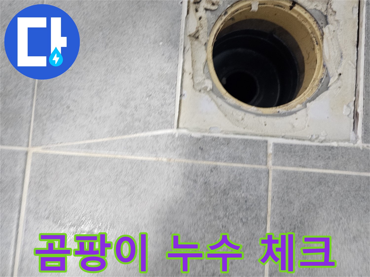 욕실 배수구 주변 곰팡이 - 누수 가능성 체크!