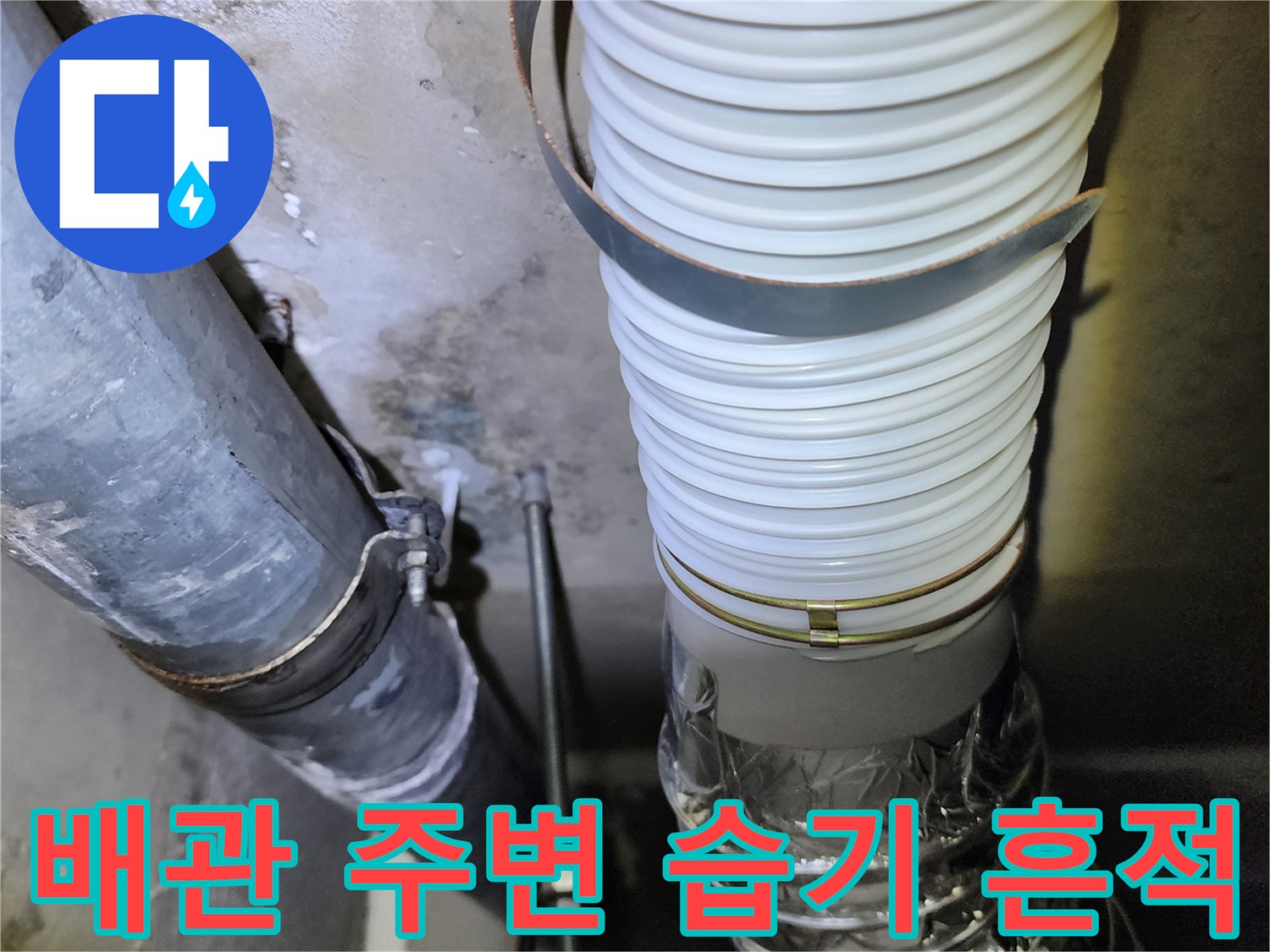 아파트-하부-천장-배관-주변의-습기-및-물얼룩-상태