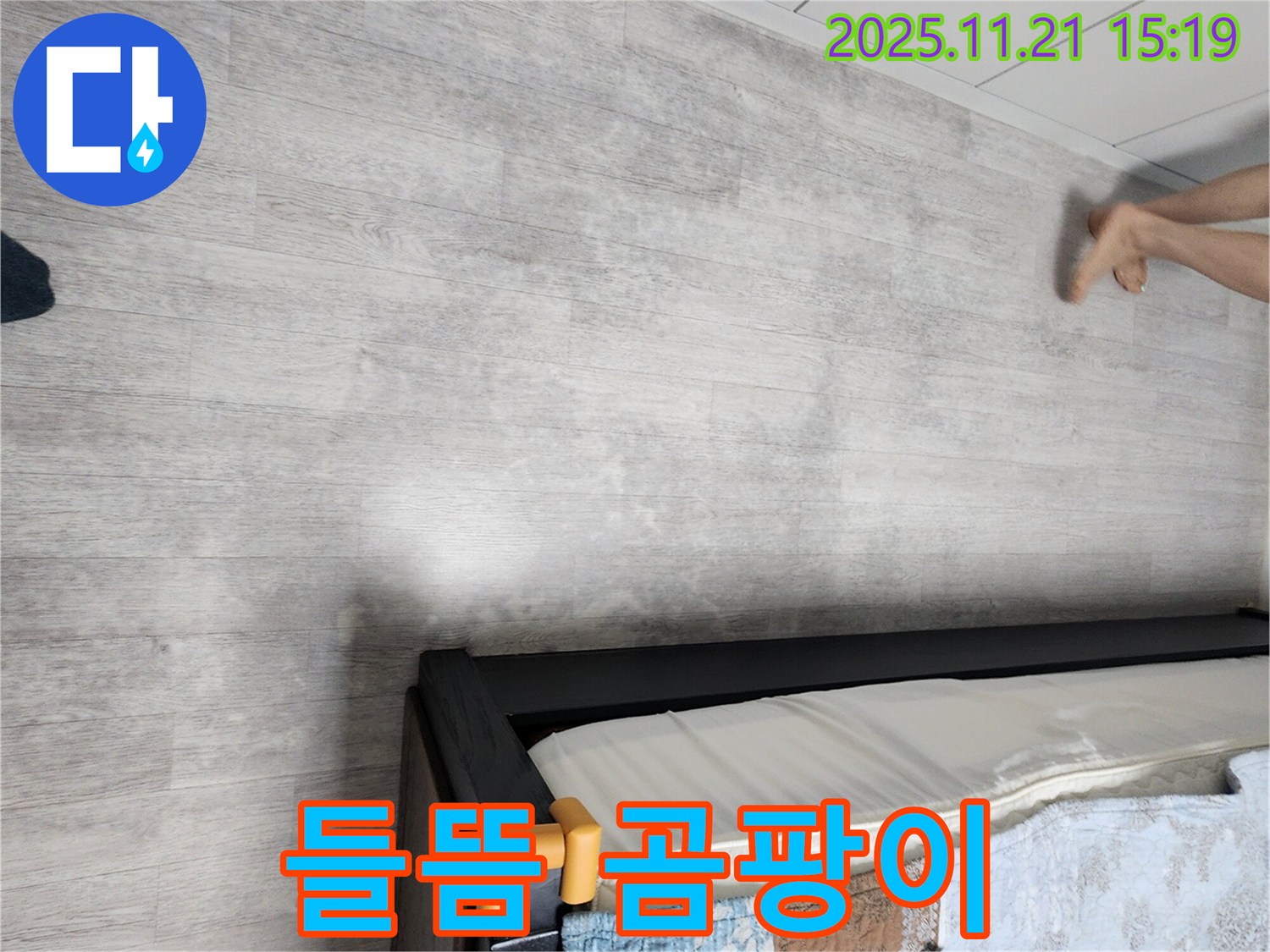 포천 가산면 정교리 누수 - 장판 들뜸과 곰팡이 동시 발생, 누수 확인