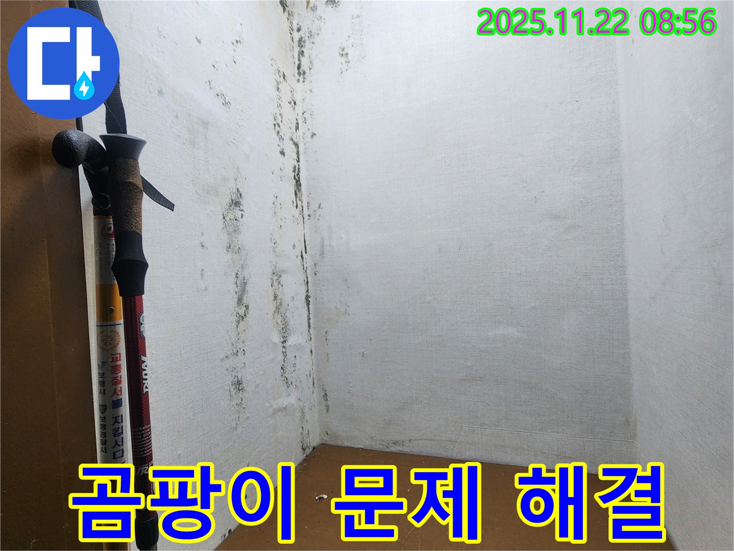 곰팡이 문제 해결 전문가 - 신곡동 누수 해결