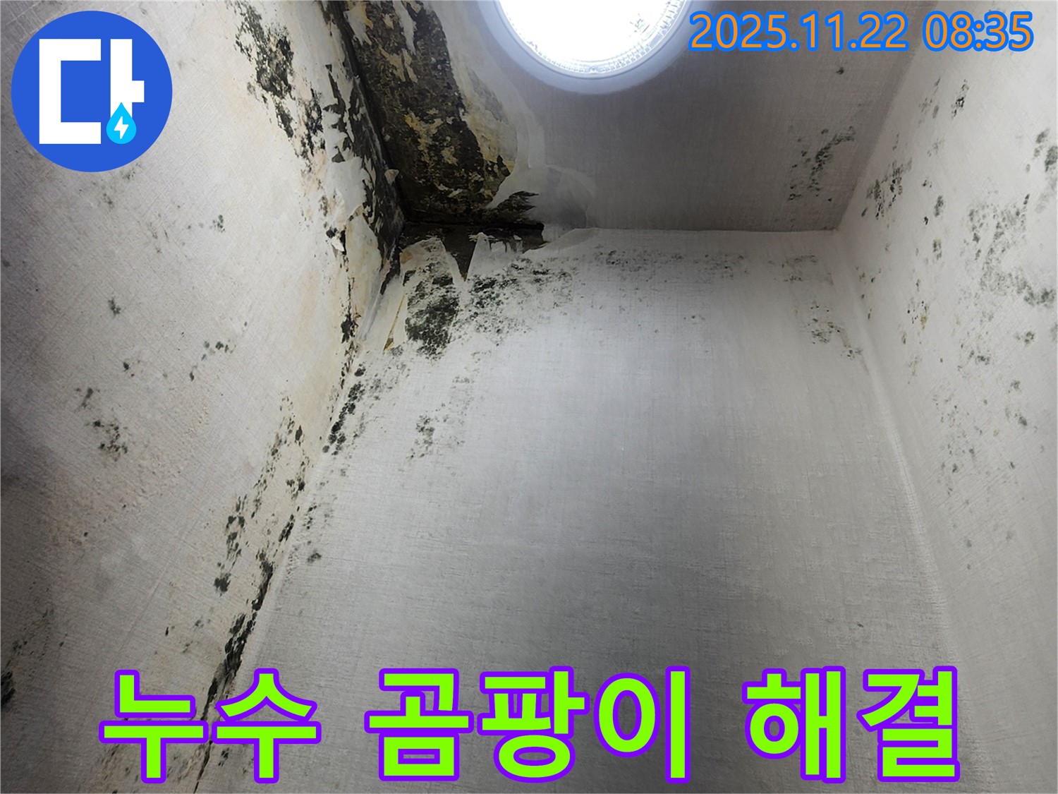 의정부 신곡1동 누수 - 곰팡이 문제 완벽 해결, 깨끗한 집으로 변신