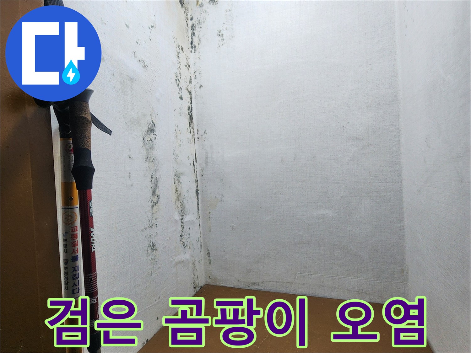 의정부 현장 기록-벽면 하단에 넓게 퍼진 곰팡이 오염 부위