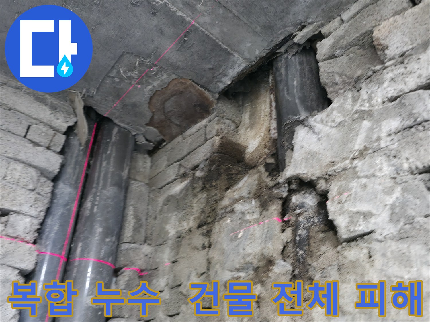 서초동 건물 누수 - 복합적인 원인으로 아랫층과 지하층까지 피해가 확산된 상황입니다.