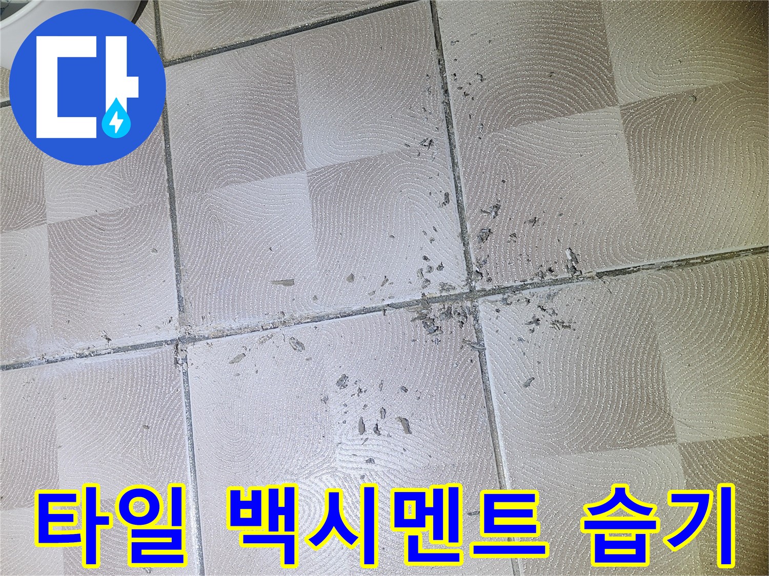 수원 센트럴타운로 누수 - 깨진 타일 주변 백시멘트 가루 및 습기 상태 확인