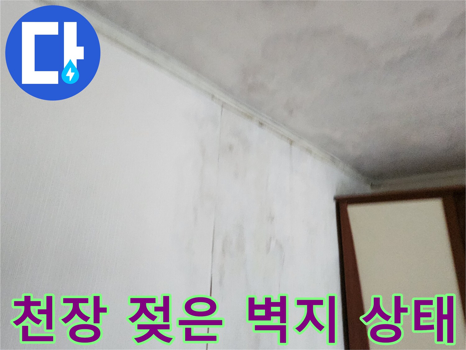 가산면 현장 기록-천장 부근의 누수로 인한 곰팡이 오염