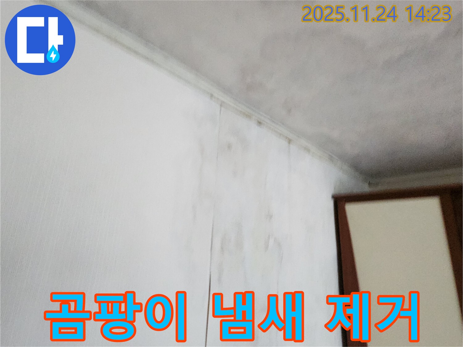 곰팡이 냄새 - 누수와 함께 곰팡이가 발생하여 불쾌한 냄새가 나는 상황 - 누수 원인 제거와 냄새 제거가 시급합니다.
