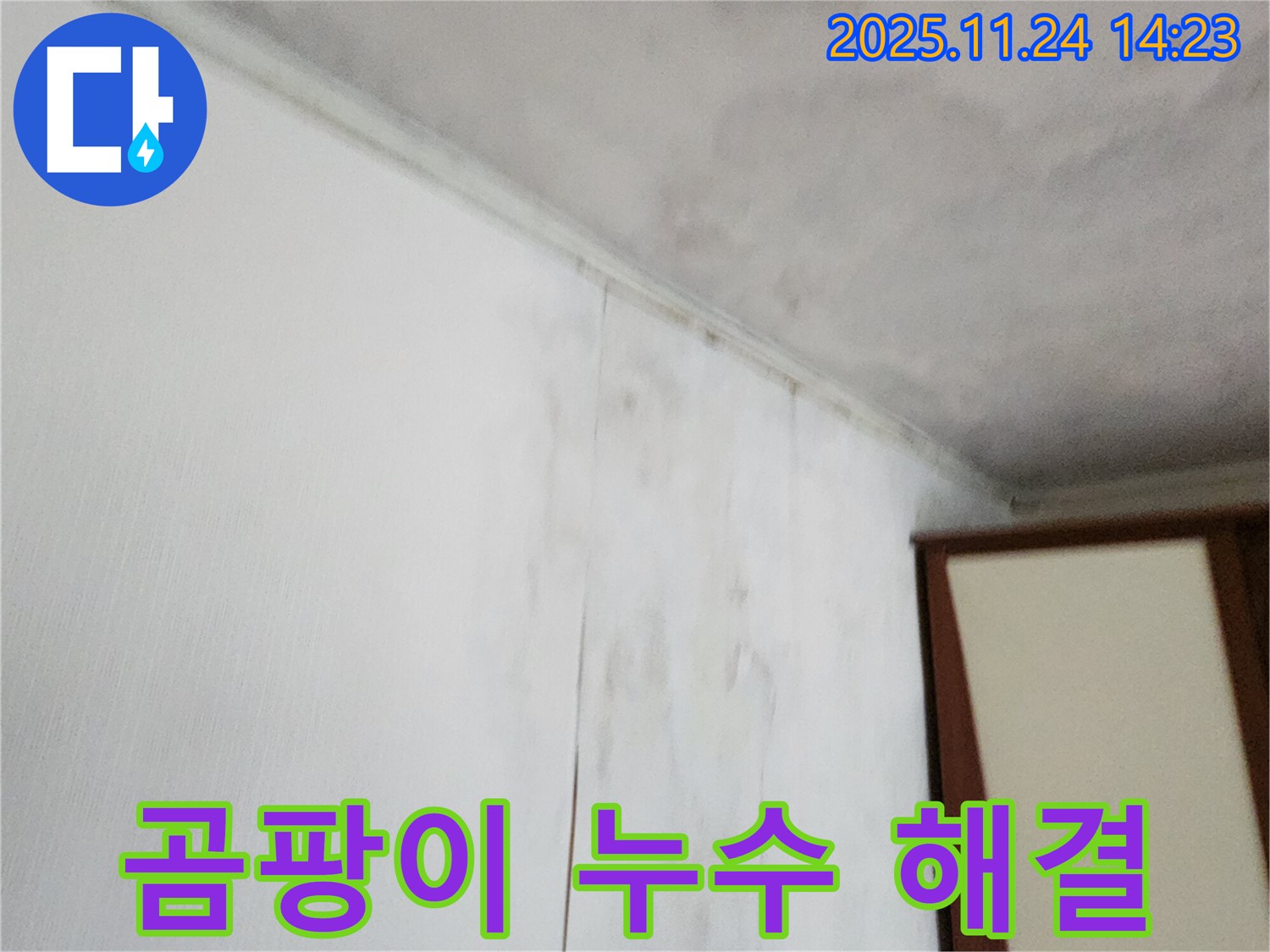 곰팡이 누수 - 곰팡이와 누수가 함께 발생한 문제 상황을 보여줍니다. 신속하고 정확한 해결이 필요합니다.