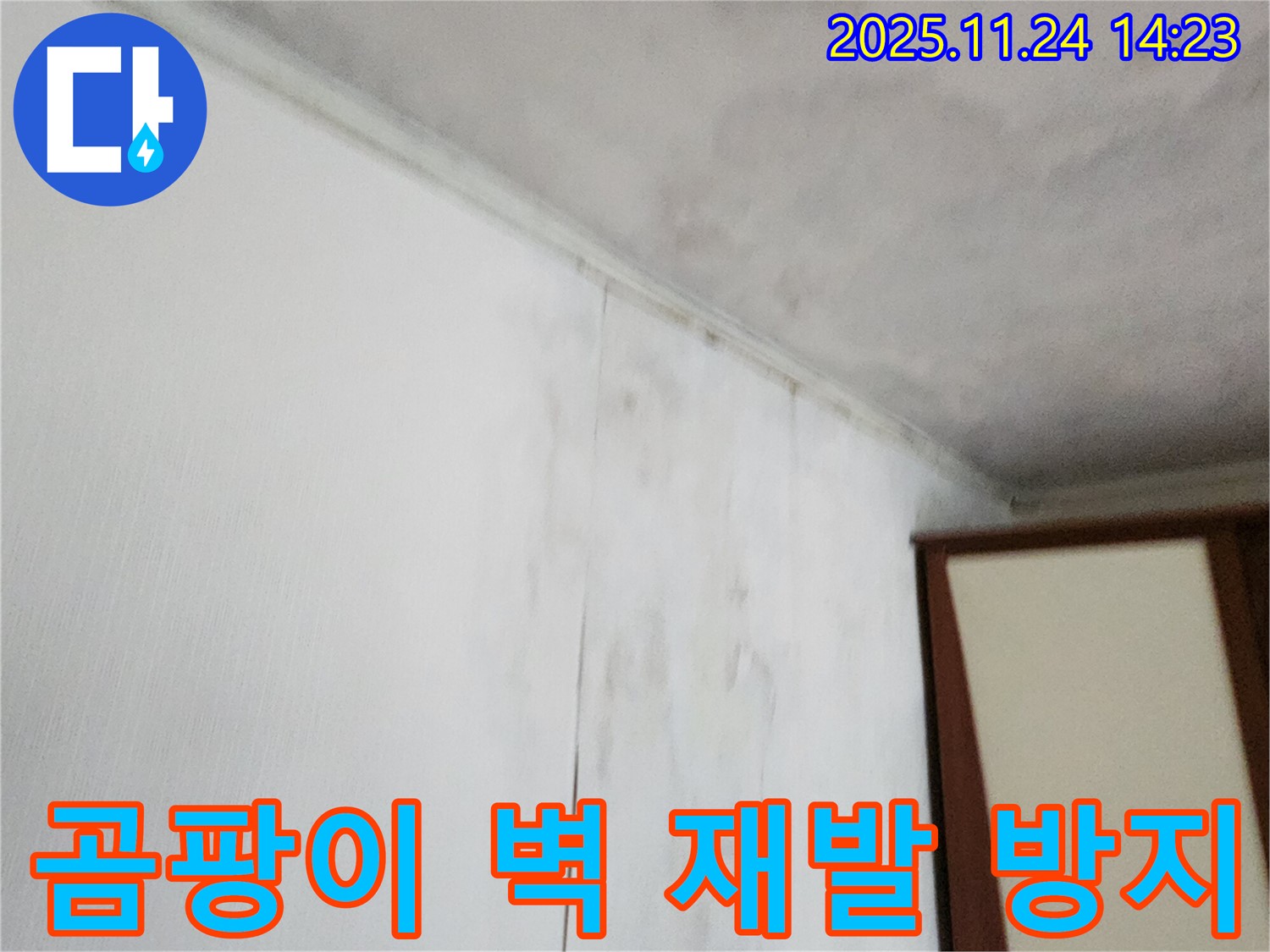 곰팡이 핀 벽 - 누수로 인해 곰팡이가 발생한 벽의 모습입니다 - 누수 해결과 함께 곰팡이 재발 방지 시공이 중요합니다.