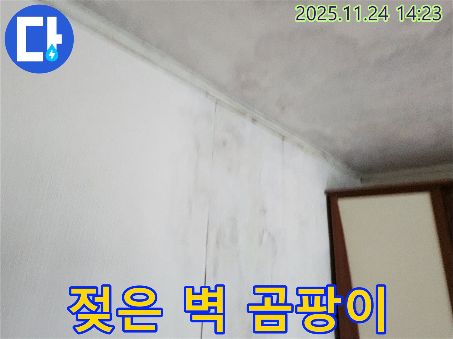 젖은 벽 - 곰팡이 - 누수로 인해 벽이 젖고 곰팡이가 발생한 모습입니다 - 누수 탐지부터 곰팡이 제거까지 원스톱 해결이 필요합니다.