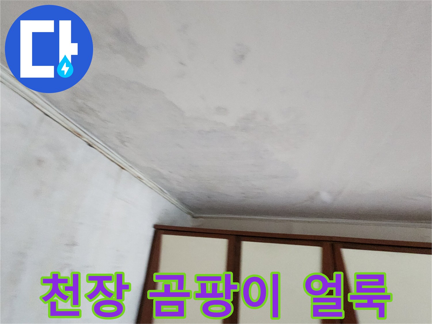 포천 가산면 현장의 천장 벽지 곰팡이 및 얼룩 상태