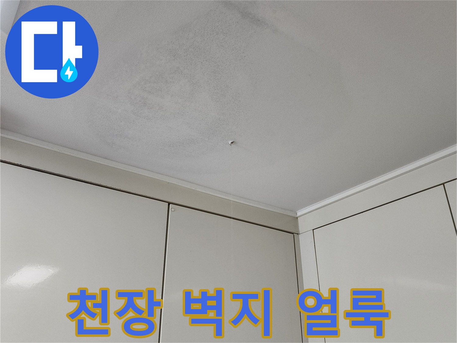 포천 가산면 현장의 천장 벽지 오염 상태를 보여주는 사진입니다.
