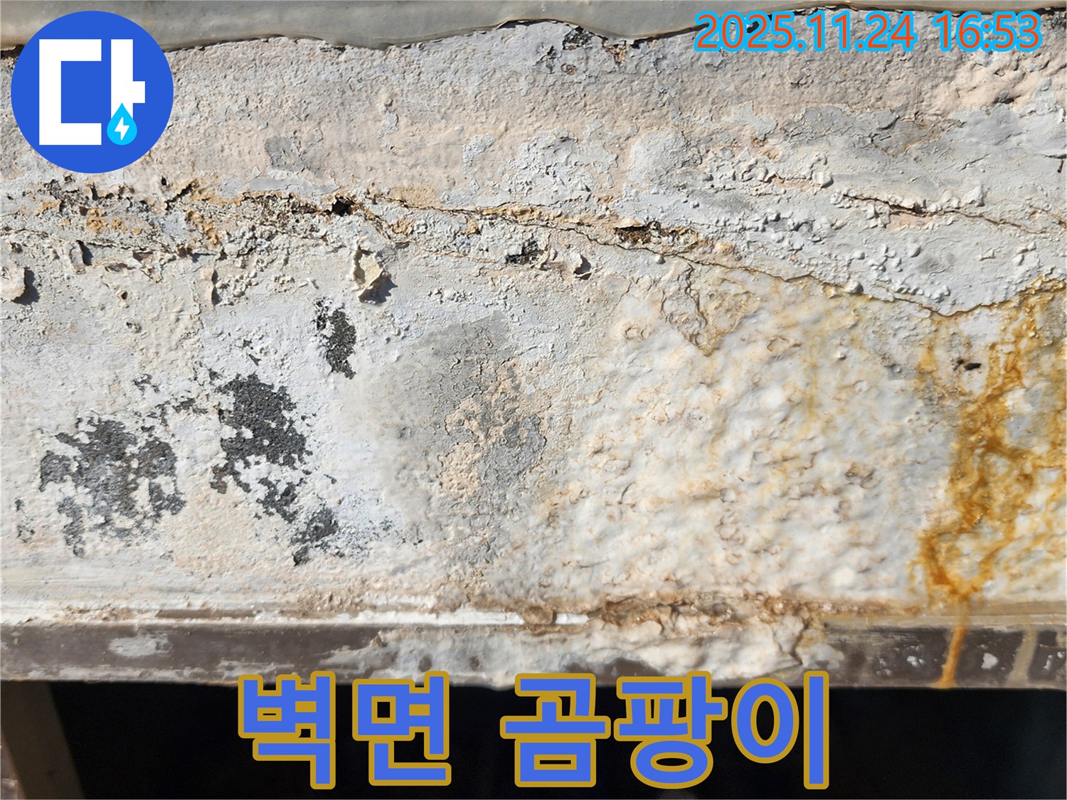 건물 외벽의 곰팡이 - 습한 환경으로 인해 벽면에 곰팡이가 심하게 발생했습니다. - 건강에 해로운 영향을 미칠 수 있습니다.