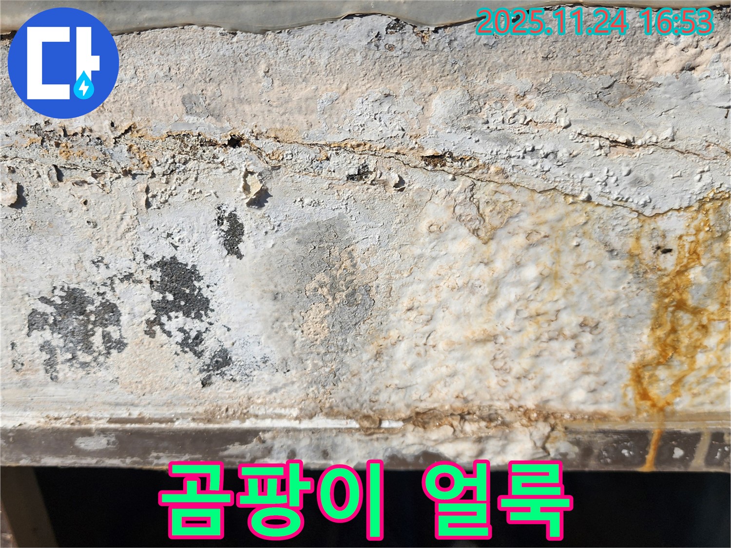 외벽 곰팡이 - 곰팡이와 습기로 얼룩진 외벽 - 건강 위협