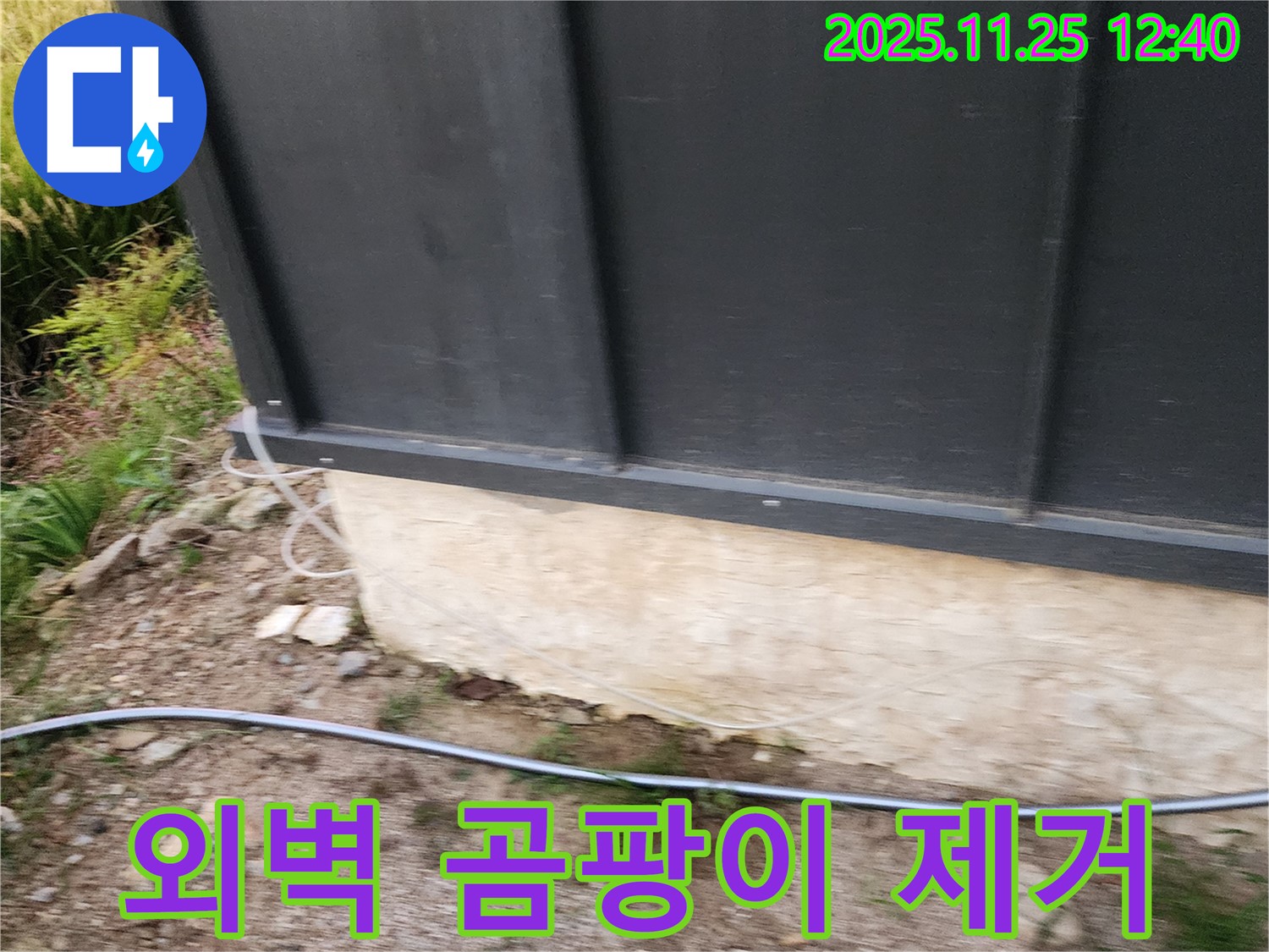 건물 외벽 하단 곰팡이 발생 부위 정밀 분석 - 누수 원인 제거 및 곰팡이 제거