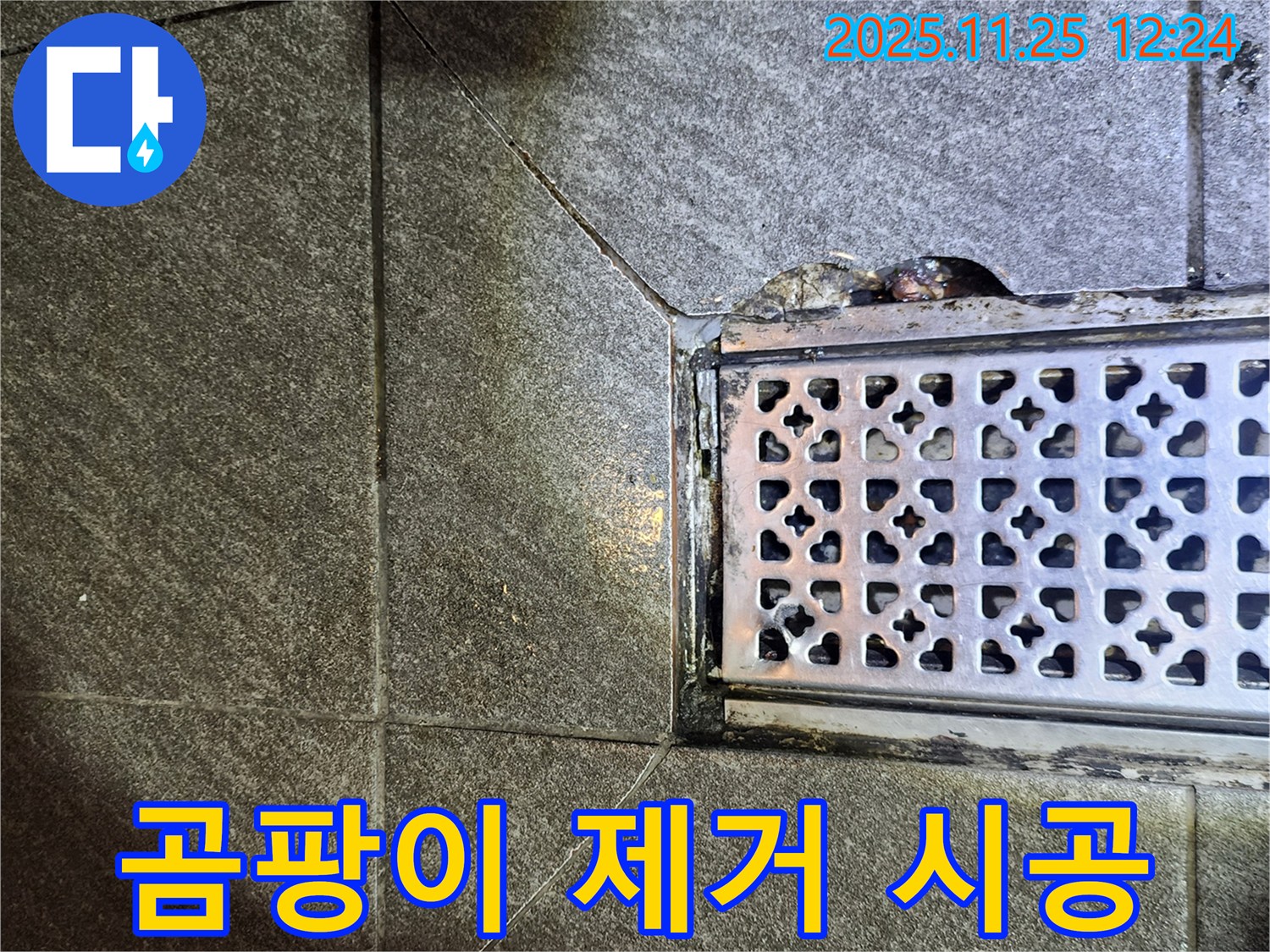 배수구 주변 곰팡이 제거 및 방지 실리콘 시공 - 깨끗하고 쾌적하게