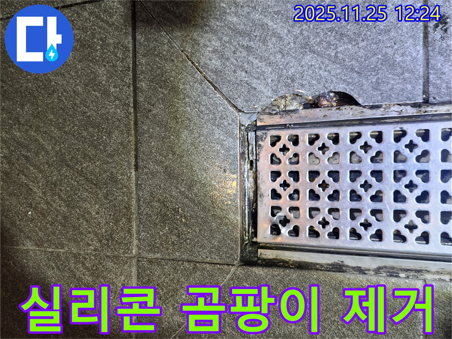 배수구 주변 실리콘 곰팡이 제거 - 쾌적한 욕실