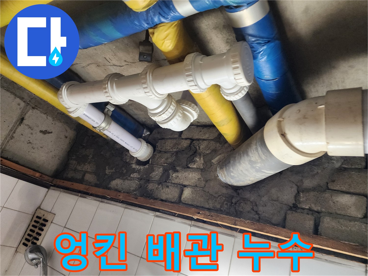 엉킨 배관 속 누수 - 꼼꼼한 탐지로 찾아낸 누수 지점