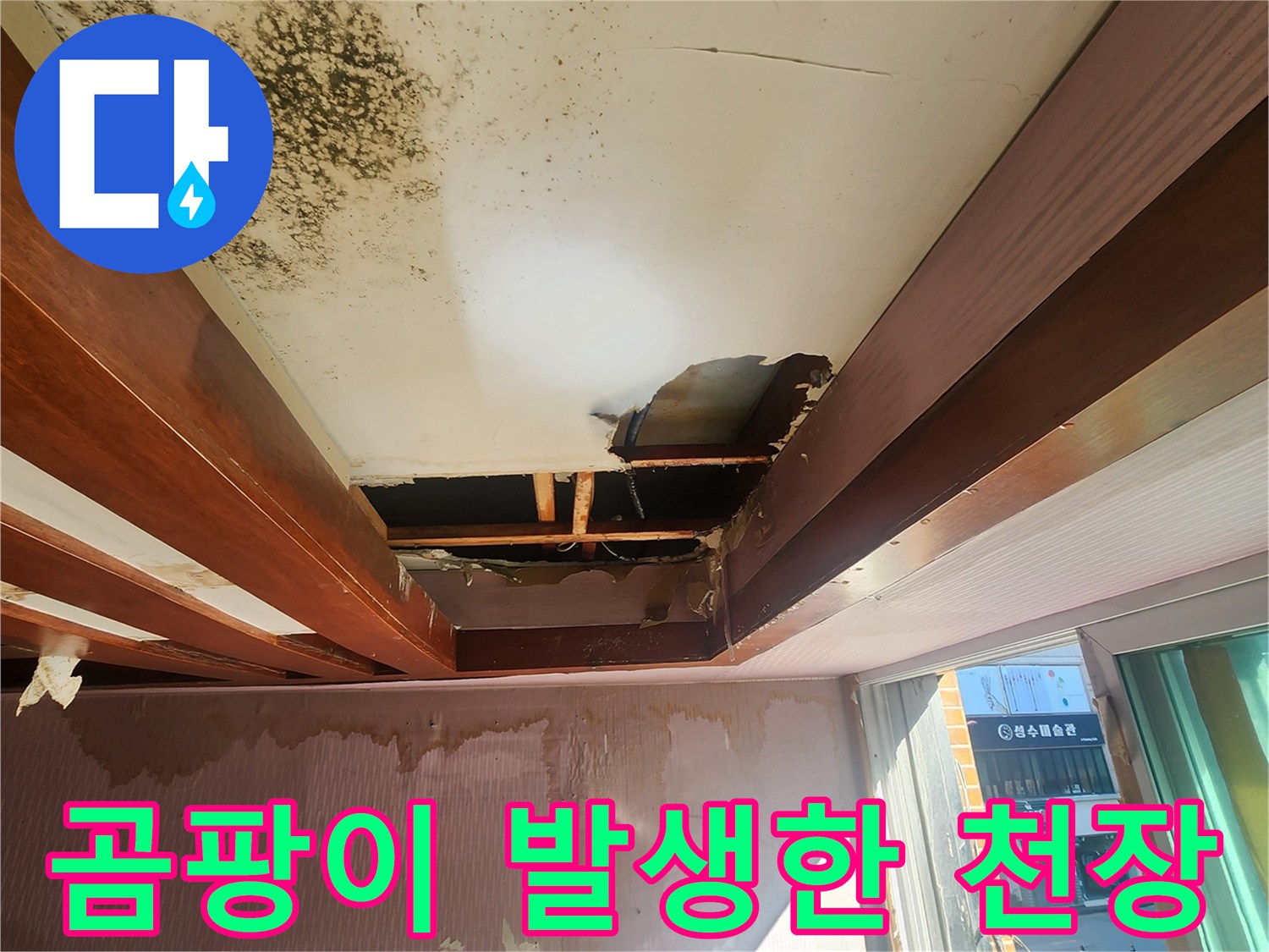 천장 표면의 광범위한 곰팡이와 습기 오염 부위 상세 사진