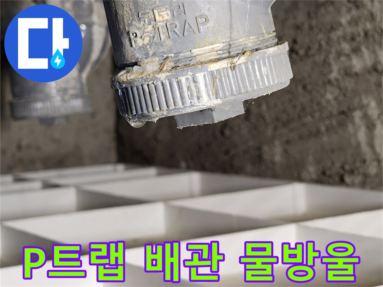 욕실 천장 배수 트랩 연결 부위에서 맺혀 있는 물방울