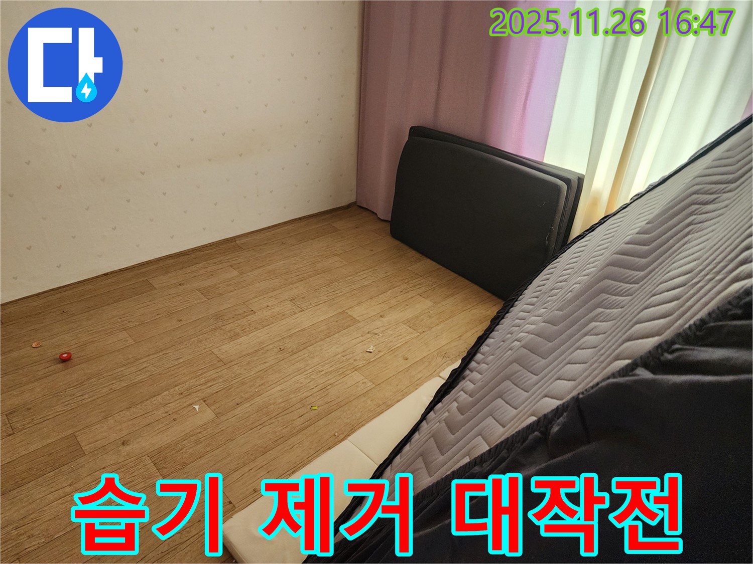 포천 신북면 삼성당리 누수 - 침대 밑 곰팡이 습기 완벽 제거 대작전