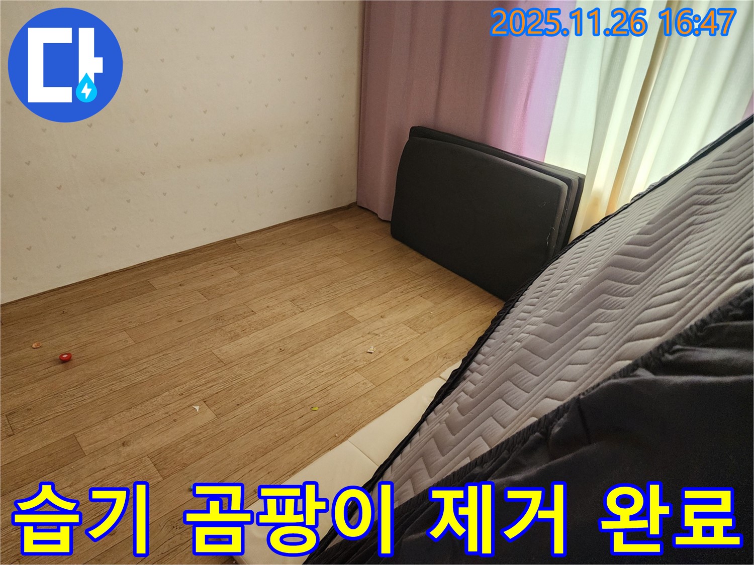 포천 신북면 삼성당리 누수 - 침대 밑 습기 곰팡이 완벽 제거 작전 완료