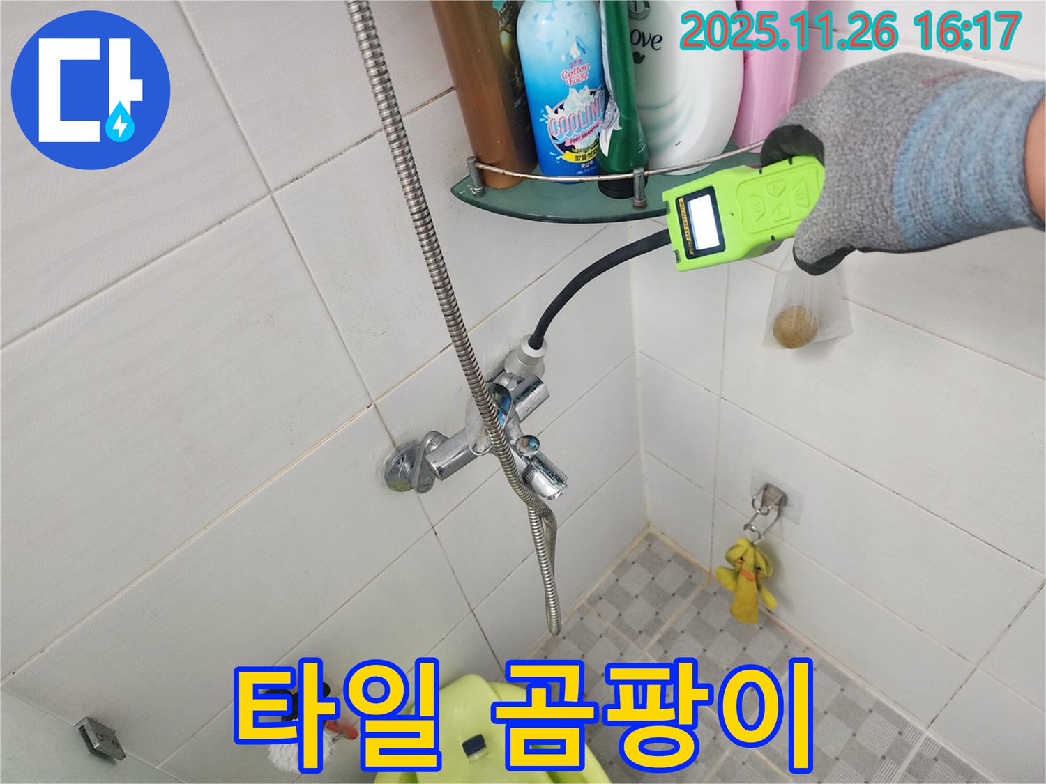 포천 신북면 삼성당리 - 샤워기 사용 후 타일 틈새 검은 곰팡이 - 가스식 탐지로 누수 & 곰팡이 문제 해결