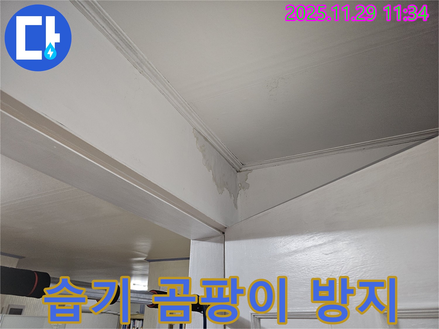 파주시 광탄면 천장 누수 - 천장 습기 가득, 곰팡이 방지 긴급 시공으로 쾌적하게!